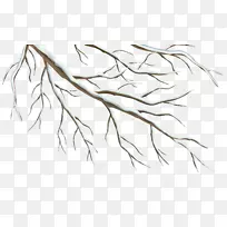 ��֦������-׹��-������