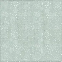 ѩ�����Ʊ���-������