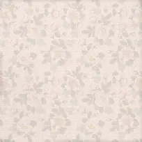 �����ʻ���������-������