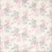 »¨»ÜÖ²Îï±³¾°-¿ÕÈôÍø »¨»ÜÖ²Îï±³¾°-¿ÕÈôÍø