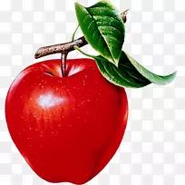 苹果食品水果健康剪贴画绿色芒果-空若网 苹果食品水果健康剪贴画绿色芒果-空若网