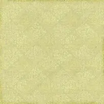 ���Ż��Ʊ���-������