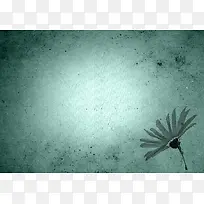 鲜花与纸张背景-空若网 鲜花与纸张背景-空若网