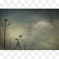 复古花纹背景边框-空若网 复古花纹背景边框-空若网