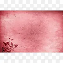 ����ֽ�Ż��Ʊ����߿�-������