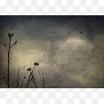 复古花卉植物背景边框-空若网 复古花卉植物背景边框-空若网
