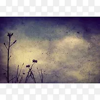复古怀旧花卉植物背景-空若网 复古怀旧花卉植物背景-空若网