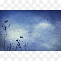 植物花卉背景-空若网 植物花卉背景-空若网