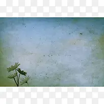 ����ֽ�����ʻ�����-������