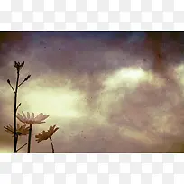 复古鲜花背景-空若网 复古鲜花背景-空若网