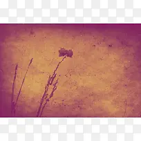 复古花纹背景底纹-空若网 复古花纹背景底纹-空若网