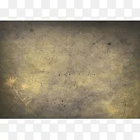 »³¾É»¨»Ü±³¾°µ×ÎÆ-¿ÕÈôÍø »³¾É»¨»Ü±³¾°µ×ÎÆ-¿ÕÈôÍø