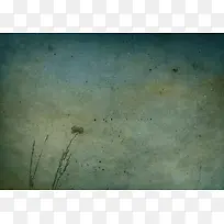 复古花卉植物背景-空若网 复古花卉植物背景-空若网