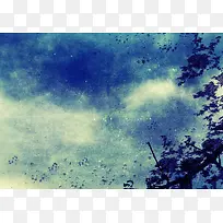 复古花卉植物背景-空若网 复古花卉植物背景-空若网