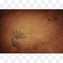 �����ʻ���������-������