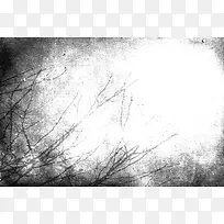 »³¾ÉÖ²Îï±³¾°µ×ÎÆ-¿ÕÈôÍø »³¾ÉÖ²Îï±³¾°µ×ÎÆ-¿ÕÈôÍø