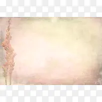 ���Ż��Ʊ���-������