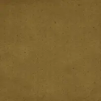 ���Ż��Ʊ���-������