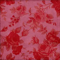 õ�廨��������-������