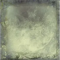 ���Ż��Ʊ���-������