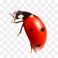 ����ͼ���ļ���ʽ��װ��PostScript������-������