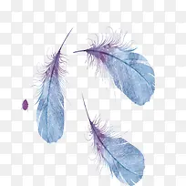 手绘蓝色羽毛矢量图-空若网 手绘蓝色羽毛矢量图-空若网