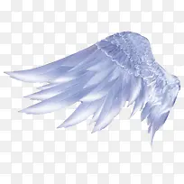 蓝色手绘羽毛翅膀-空若网 蓝色手绘羽毛翅膀-空若网