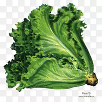 ÓлúʳƷÊß²ËËØÊ³²ËÉú²Ë²¥ÖÖÊß²ËɳÀ-¿ÕÈôÍø ÓлúʳƷÊß²ËËØÊ³²ËÉú²Ë²¥ÖÖÊß²ËɳÀ-¿ÕÈôÍø