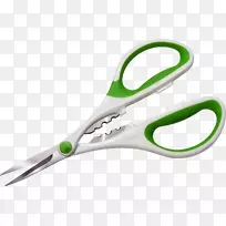 �����ݱ�ֲ��Zyliss����ʳƷ.��������-������