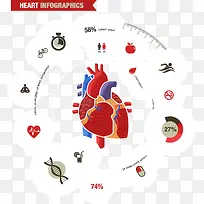 心脏信息数据图-空若网 心脏信息数据图-空若网