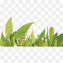 小清新大自然绿色树叶小草-空若网 小清新大自然绿色树叶小草-空若网