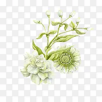 小清新手绘花朵装饰-空若网 小清新手绘花朵装饰-空若网