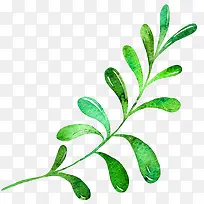 小清新水彩叶子-空若网 小清新水彩叶子-空若网