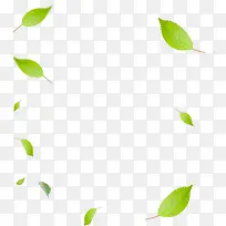 绿色清新时尚春天树叶-空若网 绿色清新时尚春天树叶-空若网