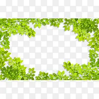 ��ɫ��Ҷ�߿�-������