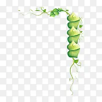 �߿�-������