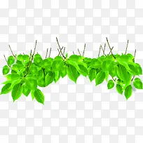 绿色时尚清新树叶装饰-空若网 绿色时尚清新树叶装饰-空若网