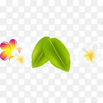 ����ʱ�л�����Ҷ-������