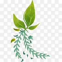可爱清新绿色树叶-空若网 可爱清新绿色树叶-空若网