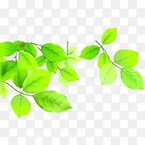 绿色清新时尚树叶春天-空若网 绿色清新时尚树叶春天-空若网