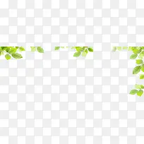 绿色清新时尚树叶-空若网 绿色清新时尚树叶-空若网