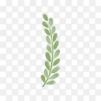 树枝-空若网 树枝-空若网