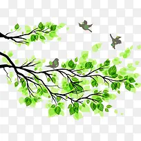 春天清新树叶树枝-空若网 春天清新树叶树枝-空若网