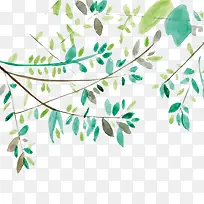 手绘小清新树枝绿叶素材-空若网 手绘小清新树枝绿叶素材-空若网