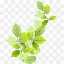 ���������ֻ���Ҷ��֦װ��-������