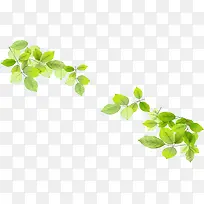 ���´����ֻ�������Ҷ��֦װ��-������