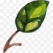 �ֻ�����ˮ����Ҷ-������