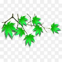 ÂÌÉ«ÇåÐÂÊ÷Ò¶Ê÷֦װÊÎ-¿ÕÈôÍø ÂÌÉ«ÇåÐÂÊ÷Ò¶Ê÷֦װÊÎ-¿ÕÈôÍø