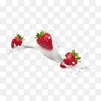 ţ�̲�ݮ-������