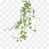 森系可爱清新树叶-空若网 森系可爱清新树叶-空若网